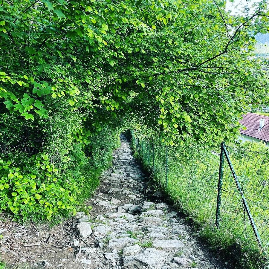 Ferienwohnung Daberer Obervellach Exterior foto